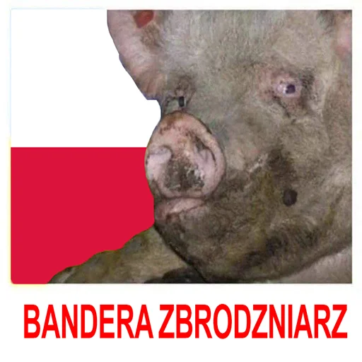 Sticker HOHLOMIDIOZ - 1