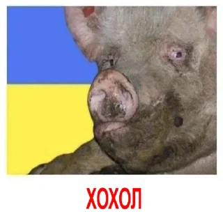 Стикер HOHLOMODIOZ - 2