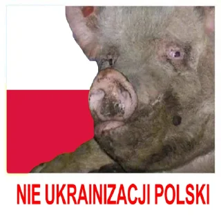 Стикер HOHLOMODIOZ - 9