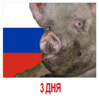 Стикер HOHLOMODIOZ - 4