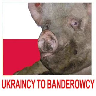 Стикер HOHLOMODIOZ - 0