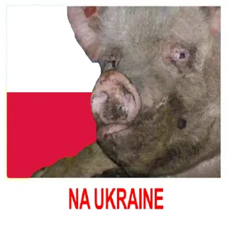 Стикер HOHLOMODIOZ - 5