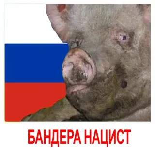 Стикер HOHLOMODIOZ - 3