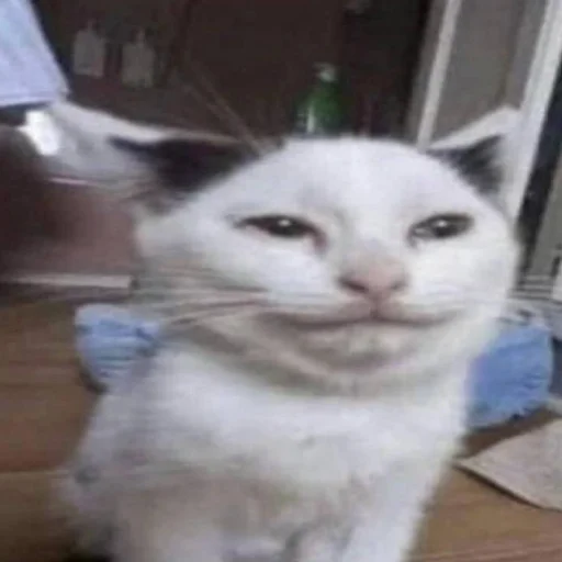 Стикер HONEST2 - 1