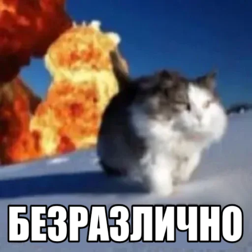 HONEST REACTION 3 @HONESTREACTION69 - 