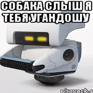 Стикер HONEST REACTION 3 @HONESTREACTION69 - 5