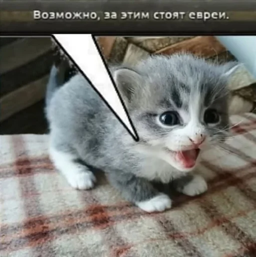 Стикер HOP4_by_TgEmodziBot - 1