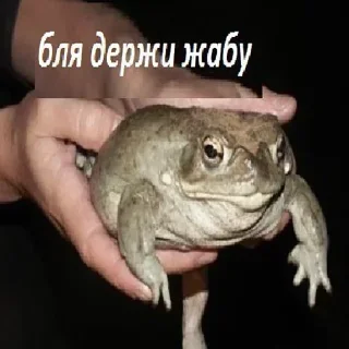 Sticker Создай свои стикеры - @sozdsti_bot - 9