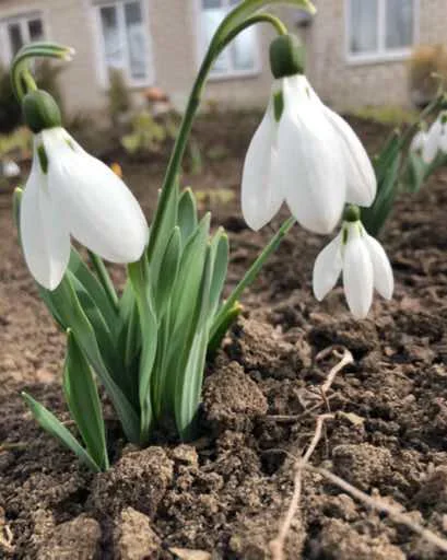 Sticker HOYTEYKBDH_by_stikers_du_ark_bot - 1