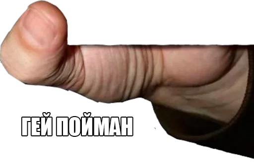 Sticker Поймали :: @StickersToYou - 8