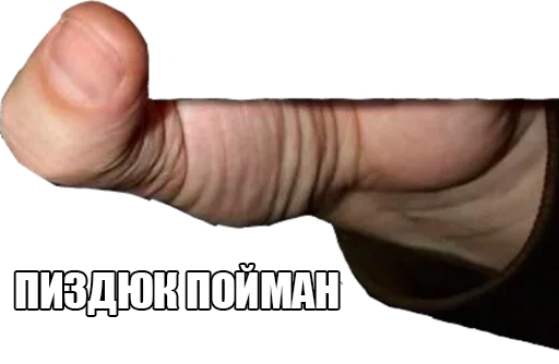 Sticker Поймали :: @StickersToYou - 6