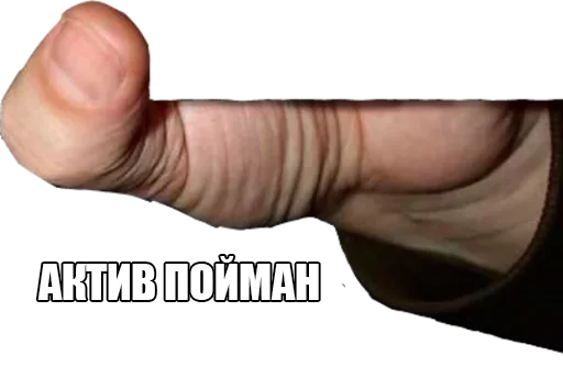 Sticker Поймали :: @StickersToYou - 5
