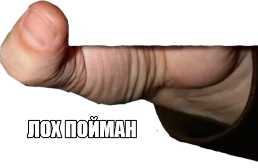 Sticker Поймали :: @StickersToYou - 4