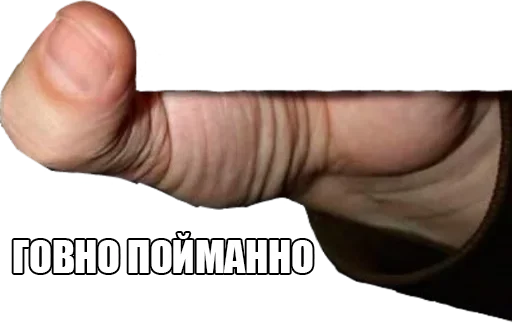 Sticker Поймали :: @StickersToYou - 2