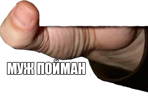 Sticker Поймали :: @StickersToYou - 1