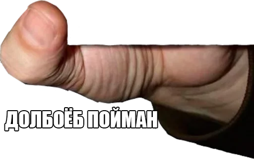 Sticker Поймали :: @StickersToYou - 0