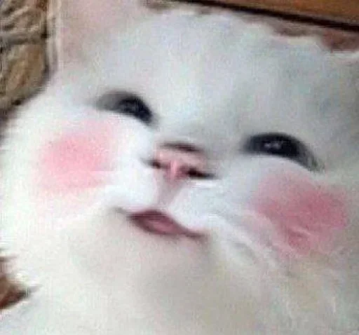 💕Стики тут: @sekstick - 