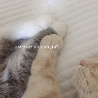 Sticker 💕Стики тут: @sekstick - 5