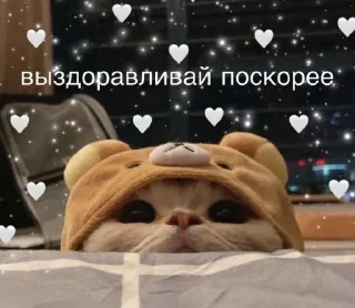 Sticker 💕Стики тут: @sekstick - 8