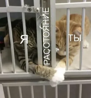 Sticker 💕Стики тут: @sekstick - 7