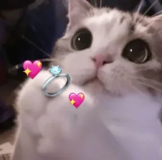 Sticker 💕Стики тут: @sekstick - 6