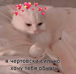 Sticker 💕Стики тут: @sekstick - 10