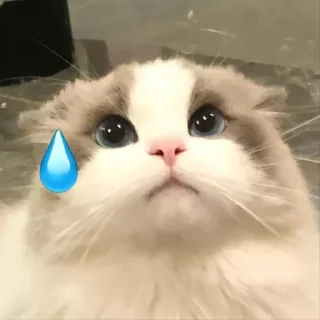 Sticker 💕Стики тут: @sekstick - 3