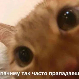 Sticker 💕Стики тут: @sekstick - 4