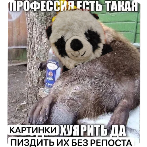 Sticker HaggiVaggiPitor2 - 1