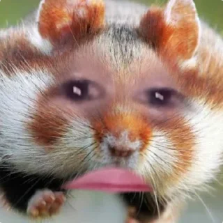 Sticker Hahahaha - 4