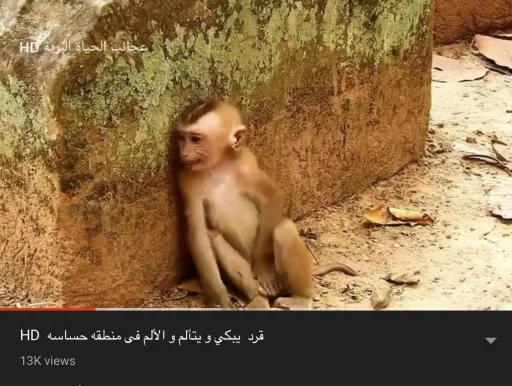 Sticker كسمكم 6 - 1