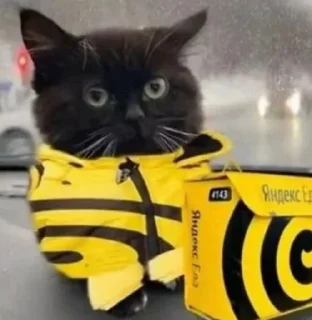 Стикер Hehe - 10