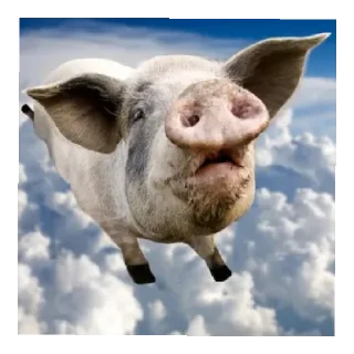 Стикер Хахвха - 8