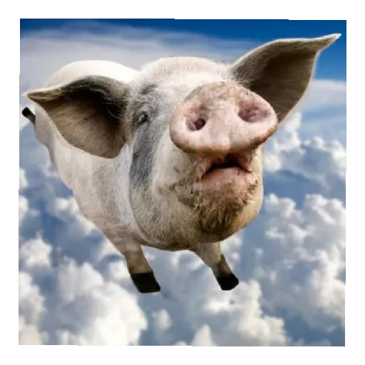 Стикер Hahvha7 - 1