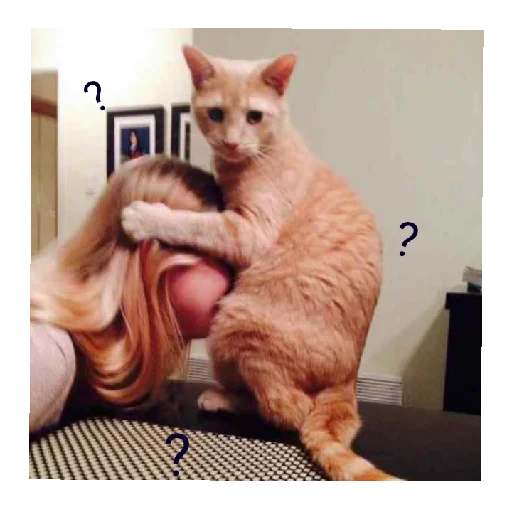 Стикер Hahvha7 - 1