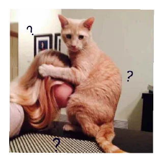 Стикер Хахвха - 2