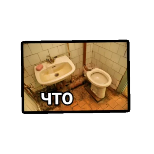 Хайповые сральники - 