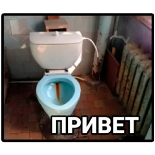 Стикер Хайповые сральники - 6