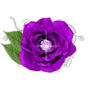 Стикер @hamasat_daawiyaهدية - 1