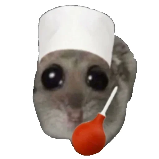 Sticker Hamster_StickerMixUA - 1