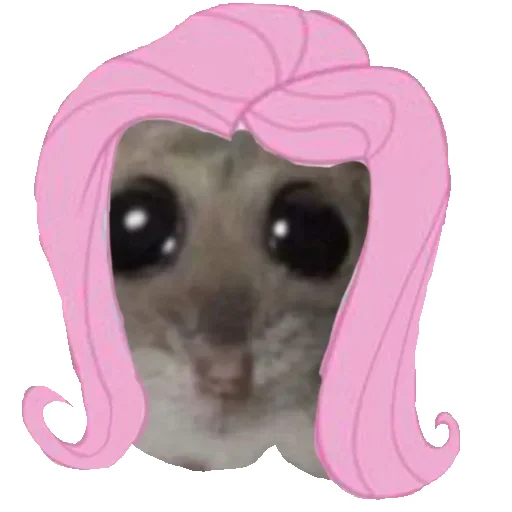 Sticker Hamster_StickerMixUA - 1