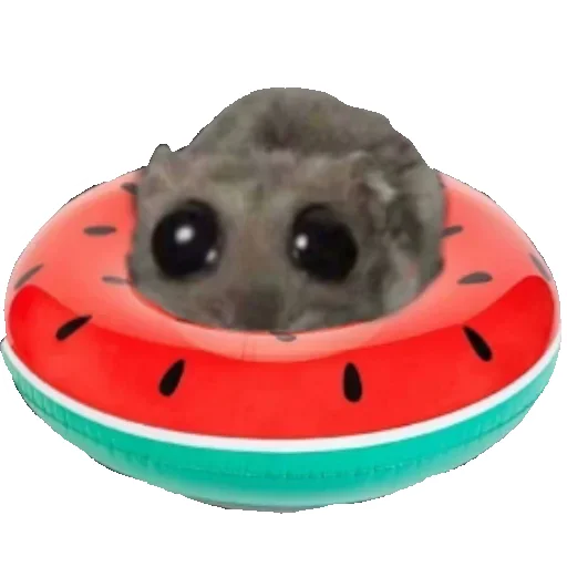 Стикер Hamster_StickerMixUA - 1