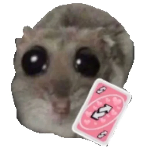 Sticker Hamster_StickerMixUA - 1