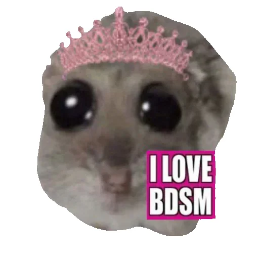 Sticker Hamster_StickerMixUA - 1
