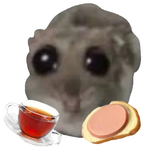 Sticker Hamster_StickerMixUA - 1