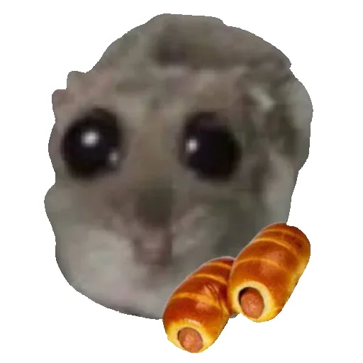 Sticker Hamster_StickerMixUA - 1