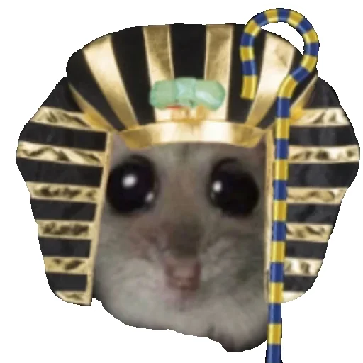 Sticker Hamster_StickerMixUA - 1