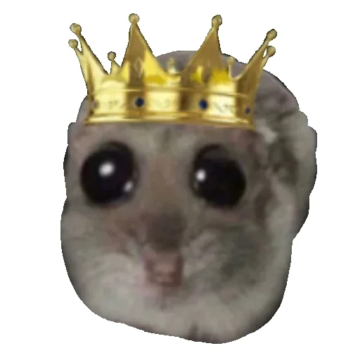 Sticker Hamster_StickerMixUA - 1