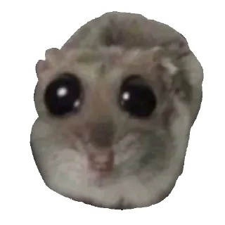 Стикер Hamster | More stickers here > @StickerMixUA - 6