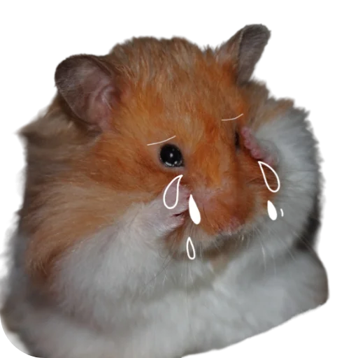 Sticker Hamsterbest1 - 1